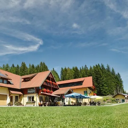 Alpengasthaus Giesslhuette * וולפסברג