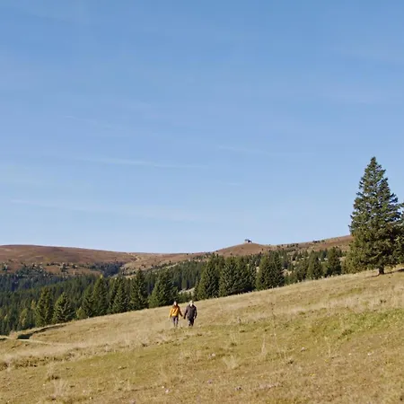 Alpengasthaus Giesslhuette *