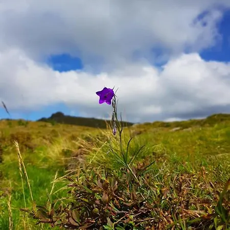 Alpengasthaus Giesslhuette
