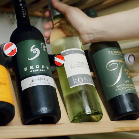 Гостевой дом Alpengasthaus Giesslhuette *