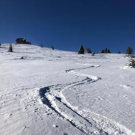 Гостевой дом Alpengasthaus Giesslhuette Вольфсберг
