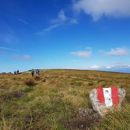 Гостевой дом Alpengasthaus Giesslhuette *