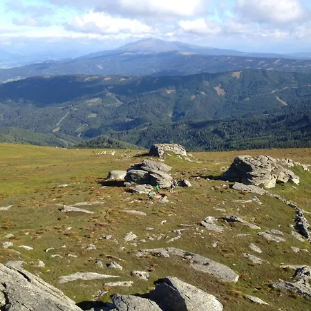 בית הארחה Alpengasthaus Giesslhuette וולפסברג