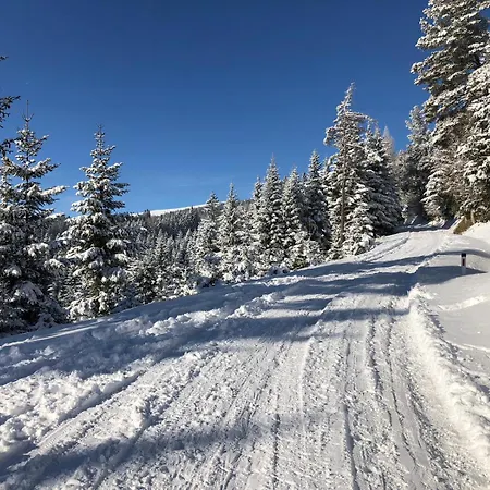 Alpengasthaus Giesslhuette * Вольфсберг