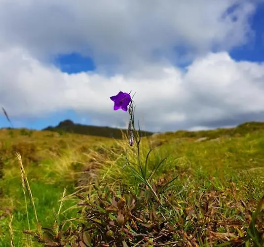 Alpengasthaus Giesslhuette