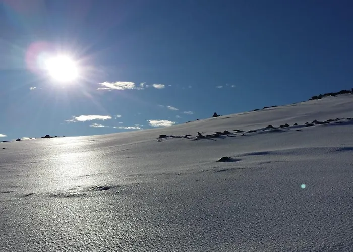 Гостевой дом Alpengasthaus Giesslhuette *