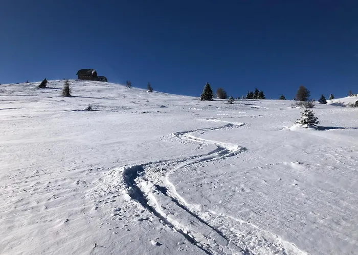 Πανσιόν Alpengasthaus Giesslhuette Βόλφσμπεργκ