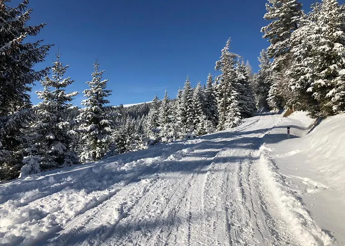 Alpengasthaus Giesslhuette * Βόλφσμπεργκ